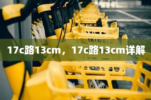 17c路13cm，17c路13cm详解