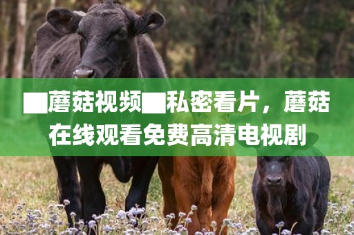 ▇蘑菇视频▇私密看片，蘑菇在线观看免费高清电视剧
