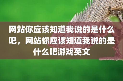 网站你应该知道我说的是什么吧，网站你应该知道我说的是什么吧游戏英文