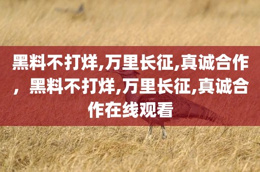 黑料不打烊,万里长征,真诚合作，黑料不打烊,万里长征,真诚合作在线观看