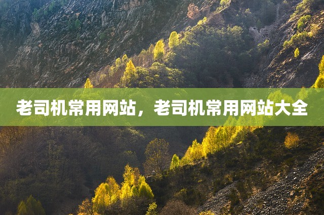 老司机常用网站，老司机常用网站大全
