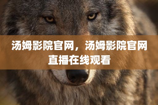 汤姆影院官网，汤姆影院官网直播在线观看