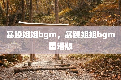 暴躁姐姐bgm，暴躁姐姐bgm国语版