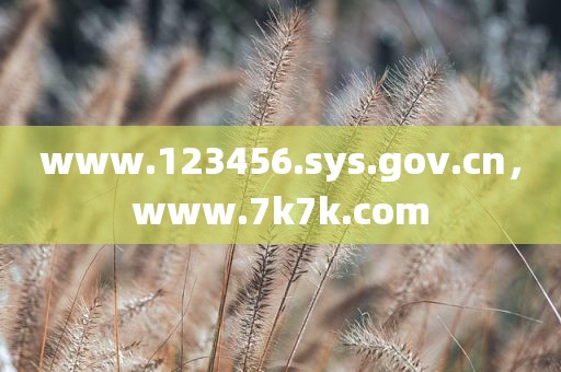 www.123456.sys.gov.cn，www.7k7k.com