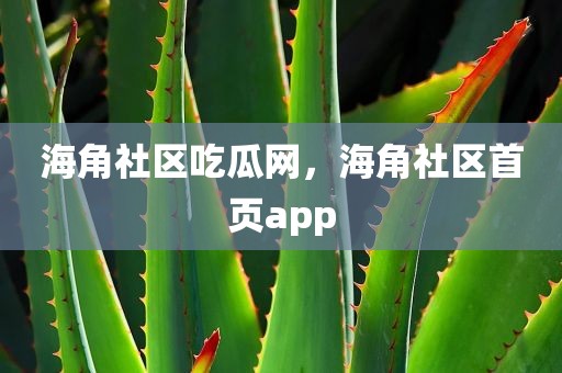 海角社区吃瓜网，海角社区首页app