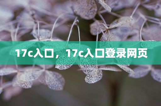 17c入口，17c入口登录网页