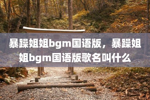 暴躁姐姐bgm国语版，暴躁姐姐bgm国语版歌名叫什么