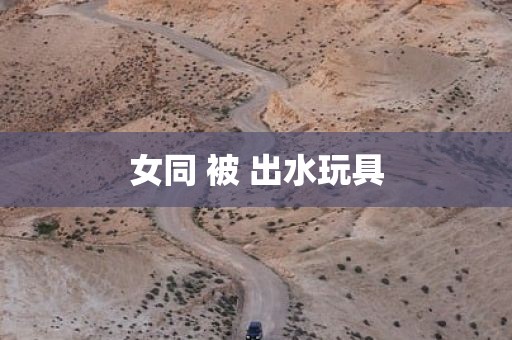女同 被 出水玩具
