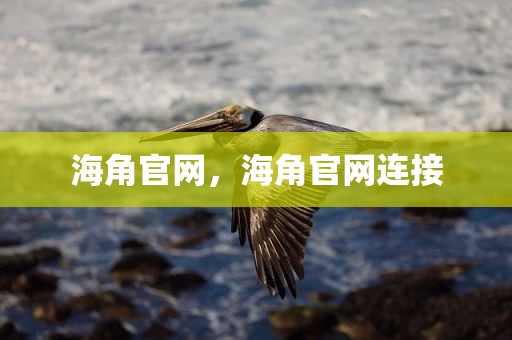 海角官网，海角官网连接