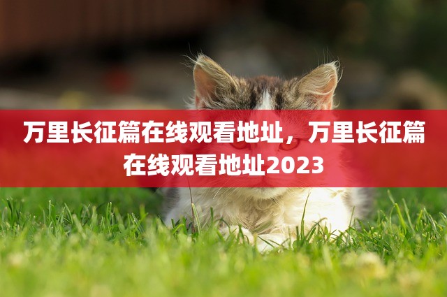 万里长征篇在线观看地址，万里长征篇在线观看地址2023