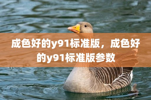 成色好的y91标准版，成色好的y91标准版参数