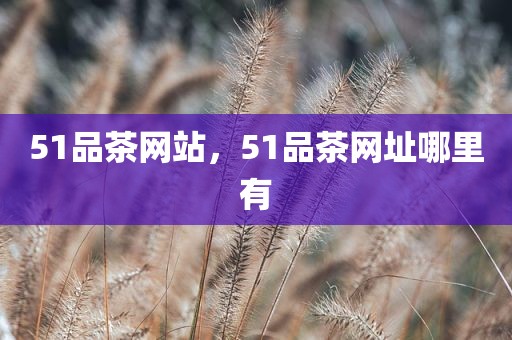 51品茶网站，51品茶网址哪里有