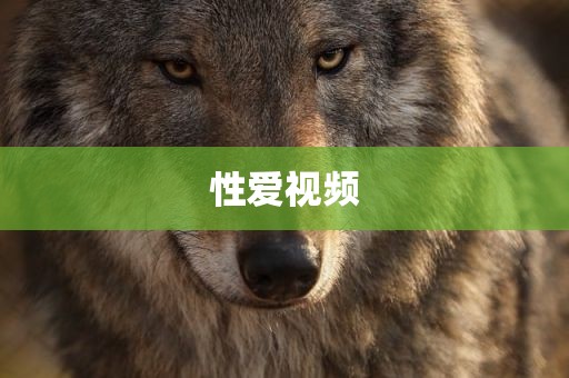 性爱视频