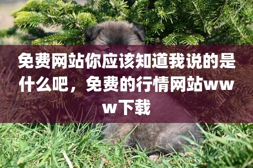 免费网站你应该知道我说的是什么吧，免费的行情网站www下载
