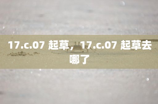 17.c.07 起草，17.c.07 起草去哪了