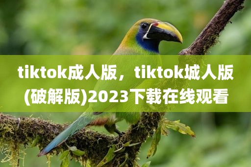 tiktok成人版，tiktok城人版(破解版)2023下载在线观看