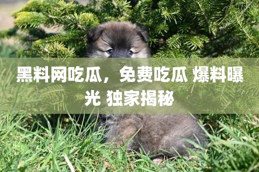 黑料网吃瓜，免费吃瓜 爆料曝光 独家揭秘