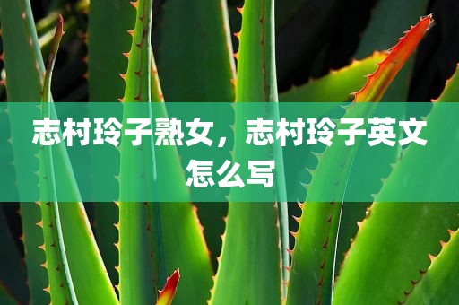 志村玲子熟女，志村玲子英文怎么写
