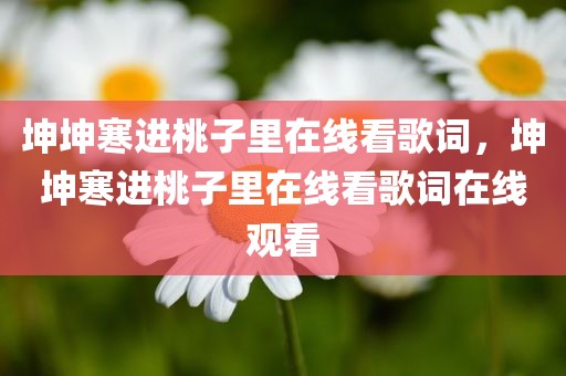 坤坤寒进桃子里在线看歌词，坤坤寒进桃子里在线看歌词在线观看