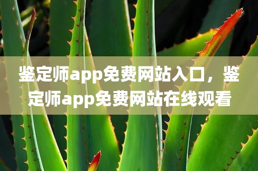 鉴定师app免费网站入口，鉴定师app免费网站在线观看