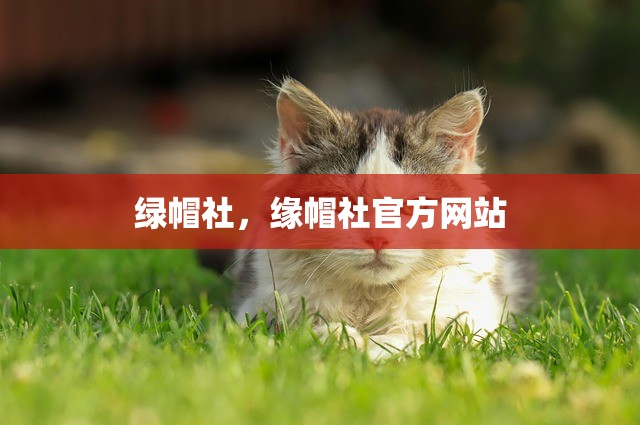 绿帽社，缘帽社官方网站
