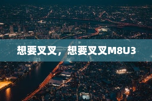 想要叉叉，想要叉叉M8U3