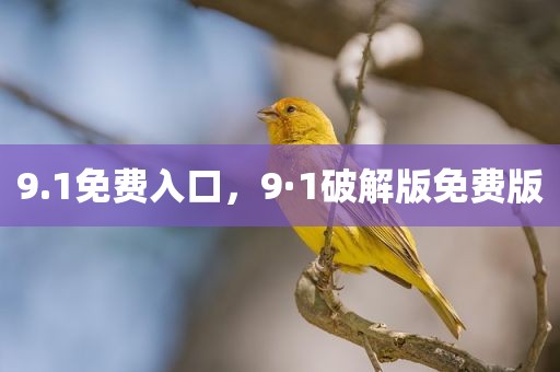 9.1免费入口，9·1破解版免费版