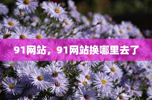 91网站，91网站换哪里去了