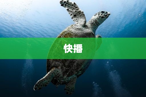快播