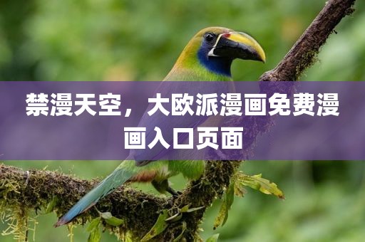 禁漫天空，大欧派漫画免费漫画入口页面