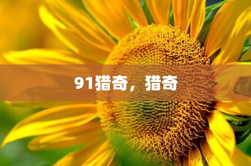 91猎奇，猎奇