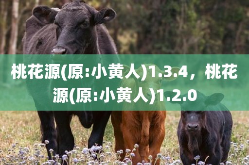 桃花源(原:小黄人)1.3.4，桃花源(原:小黄人)1.2.0
