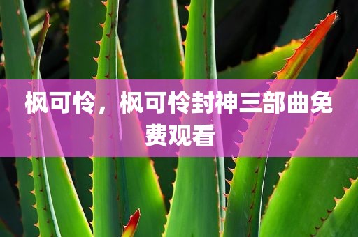 枫可怜，枫可怜封神三部曲免费观看