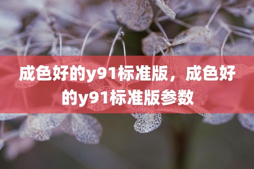 成色好的y91标准版，成色好的y91标准版参数