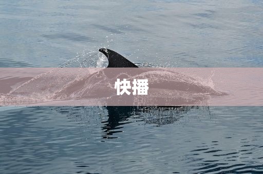 快播