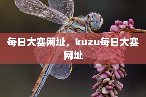 每日大赛网址，kuzu每日大赛网址