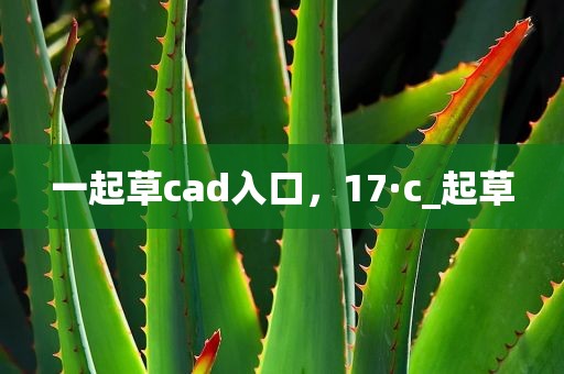 一起草cad入口，17·c_起草