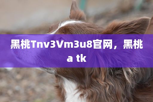 黑桃Tnv3Vm3u8官网，黑桃a tk