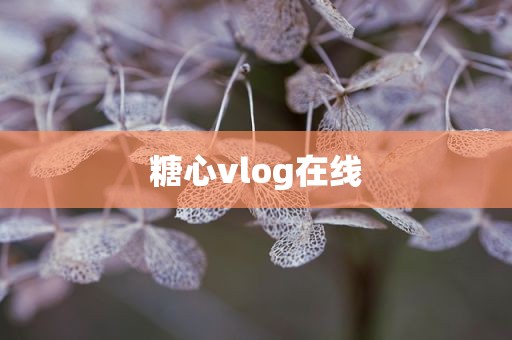 糖心vlog在线