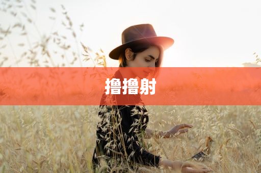 撸撸射