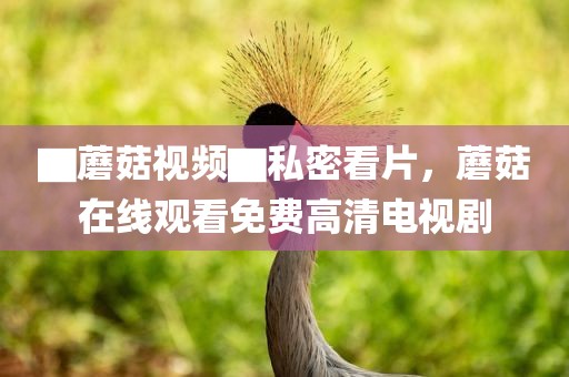 ▇蘑菇视频▇私密看片，蘑菇在线观看免费高清电视剧
