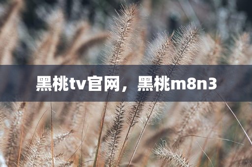 黑桃tv官网，黑桃m8n3