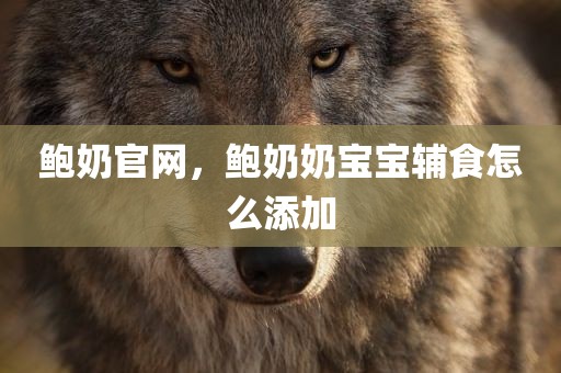 鲍奶官网，鲍奶奶宝宝辅食怎么添加