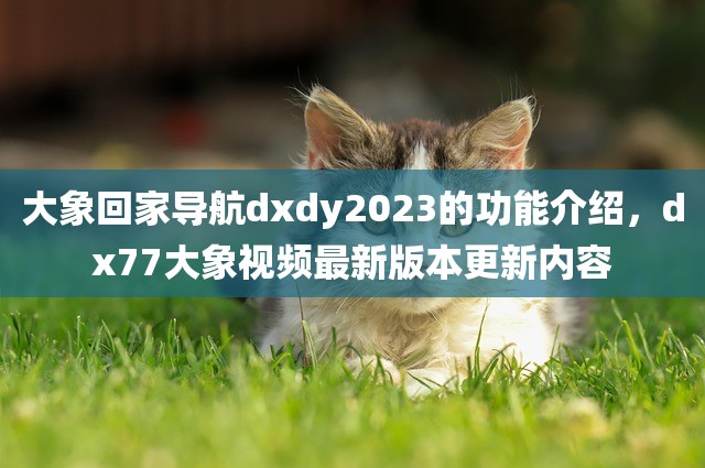 大象回家导航dxdy2023的功能介绍，dx77大象视频最新版本更新内容