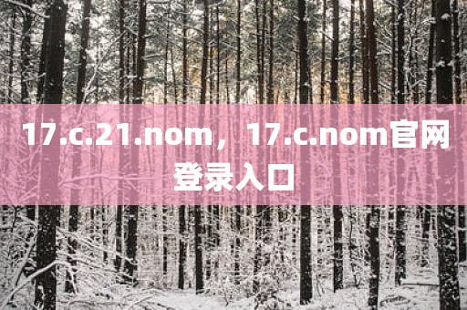 17.c.21.nom，17.c.nom官网登录入口