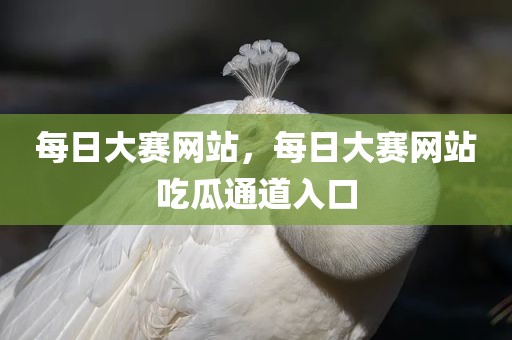 每日大赛网站，每日大赛网站吃瓜通道入口