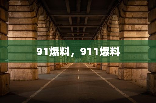 91爆料，911爆料
