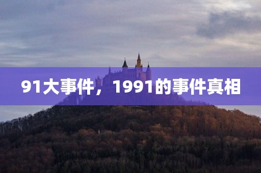 91大事件，1991的事件真相