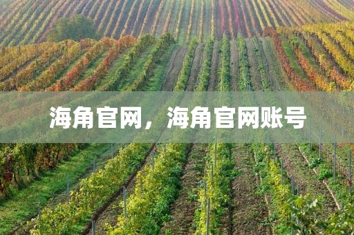 海角官网，海角官网账号