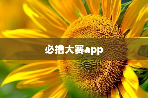 必撸大赛app